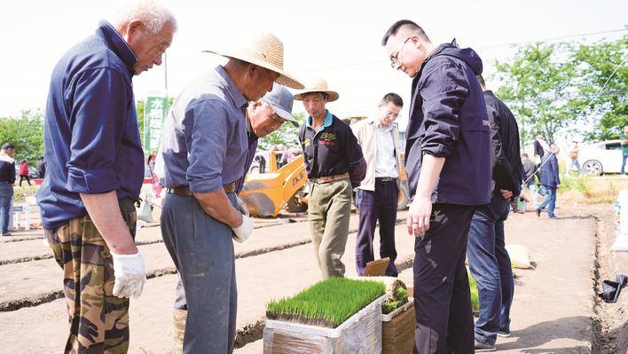 “技術”大餐送到田頭 “栽出”新一季的希望